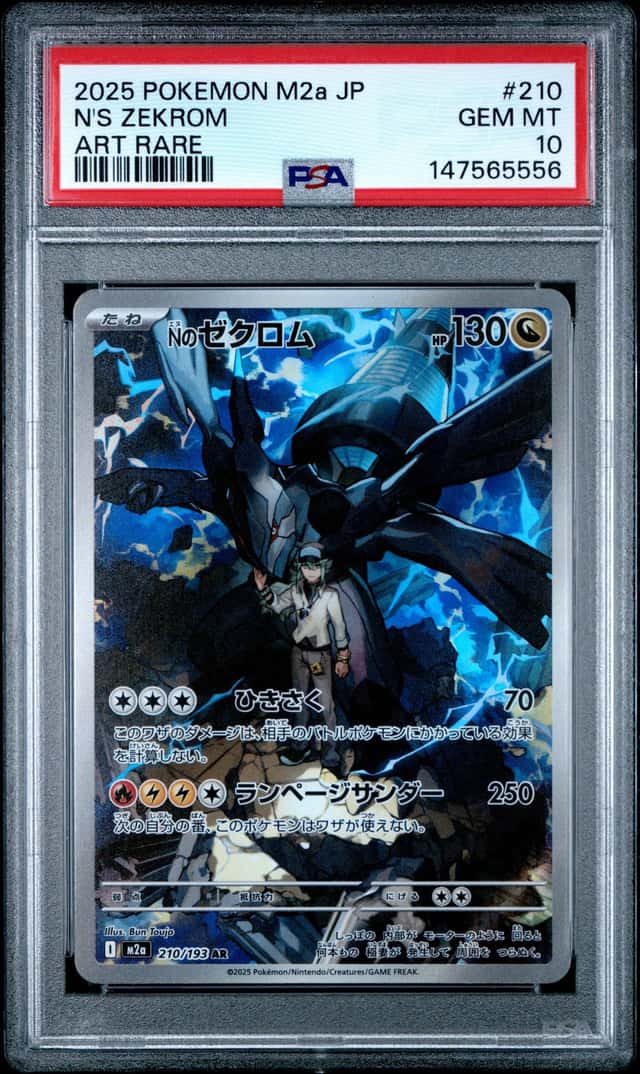 N's Zekrom