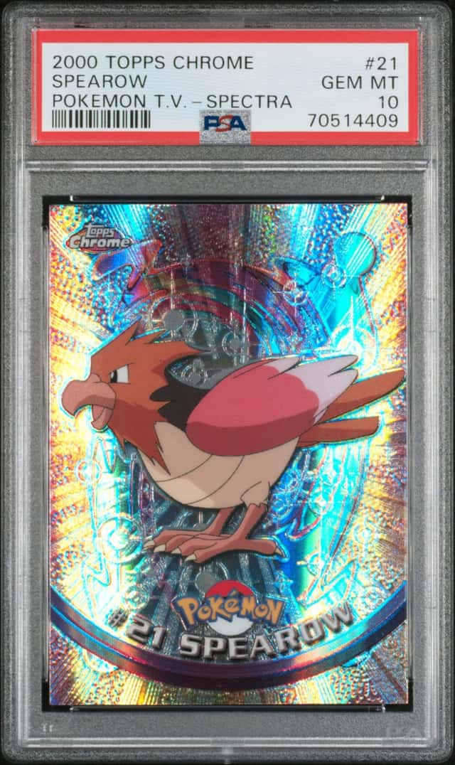 Spearow
