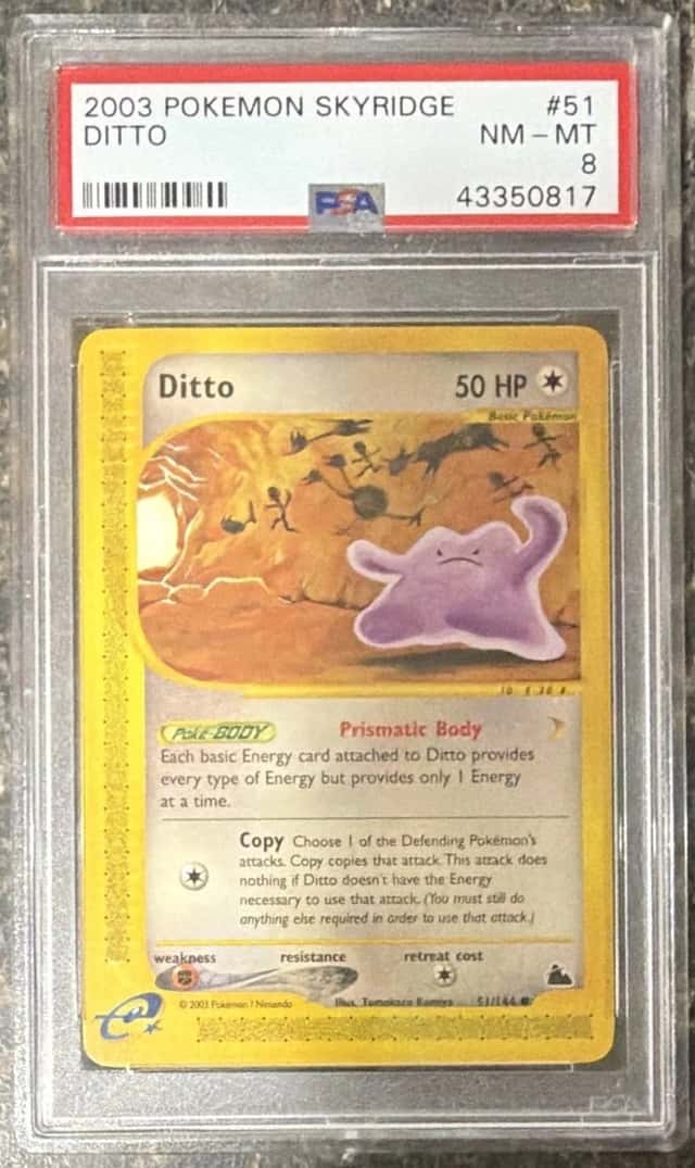 Ditto