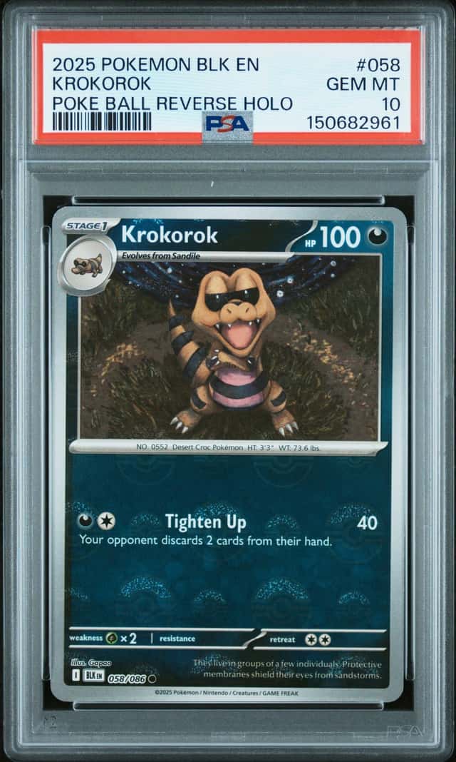 Krokorok