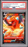 Charizard V