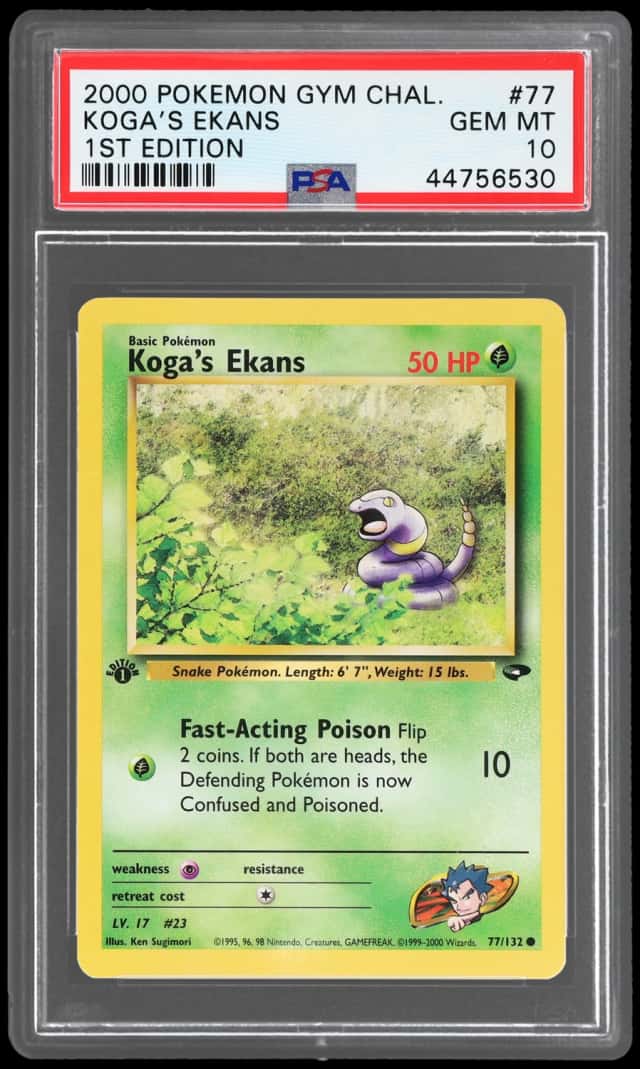 Koga's Ekans