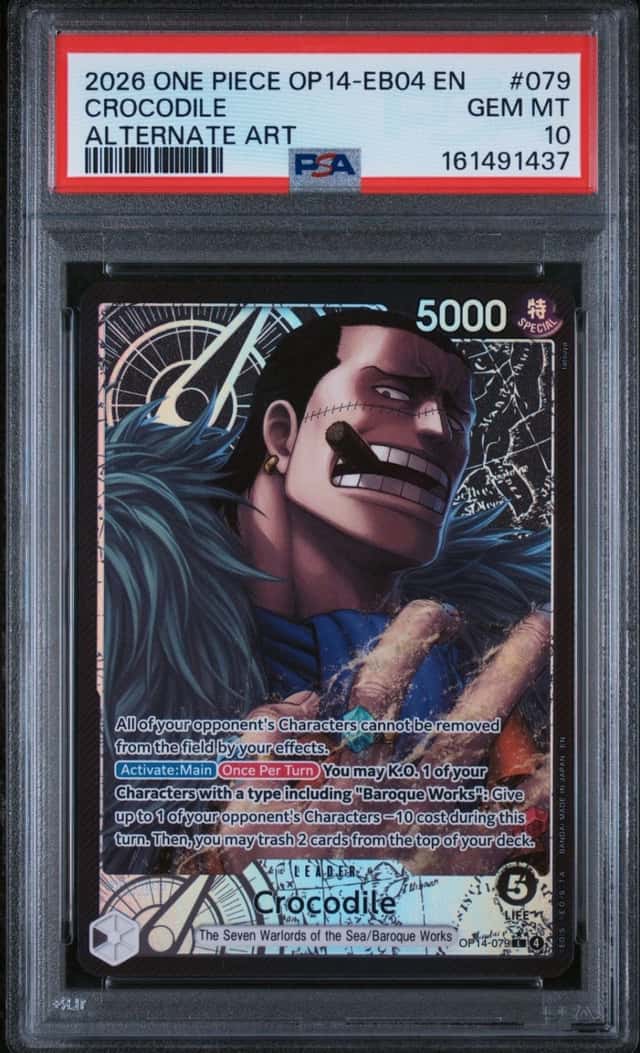 Crocodile