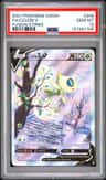 Celebi V