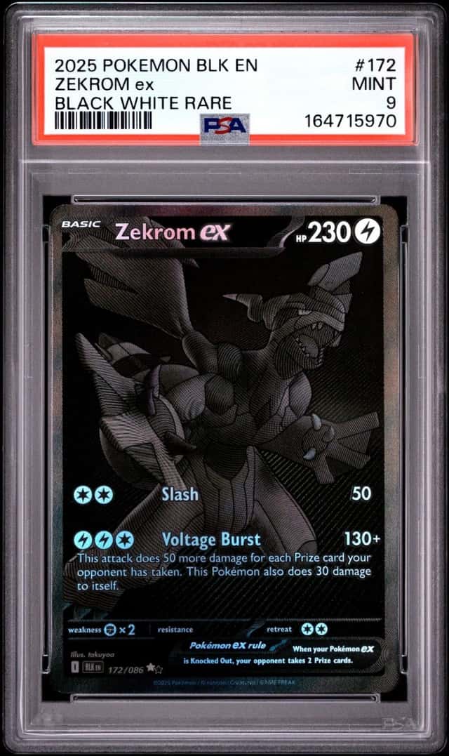 ZEKROM ex