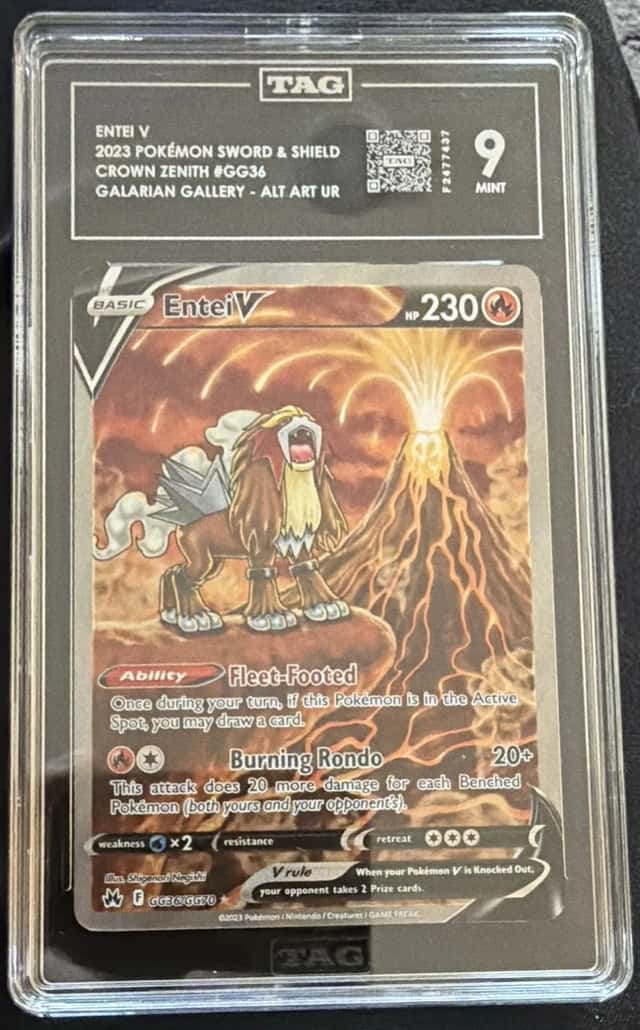Entei V