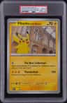 Pikachu At The Museum