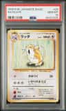 Raticate