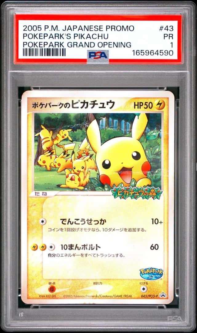 PokePark's Pikachu