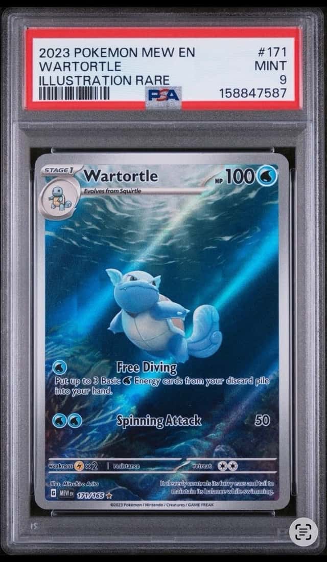 Wartortle