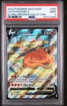Charizard V