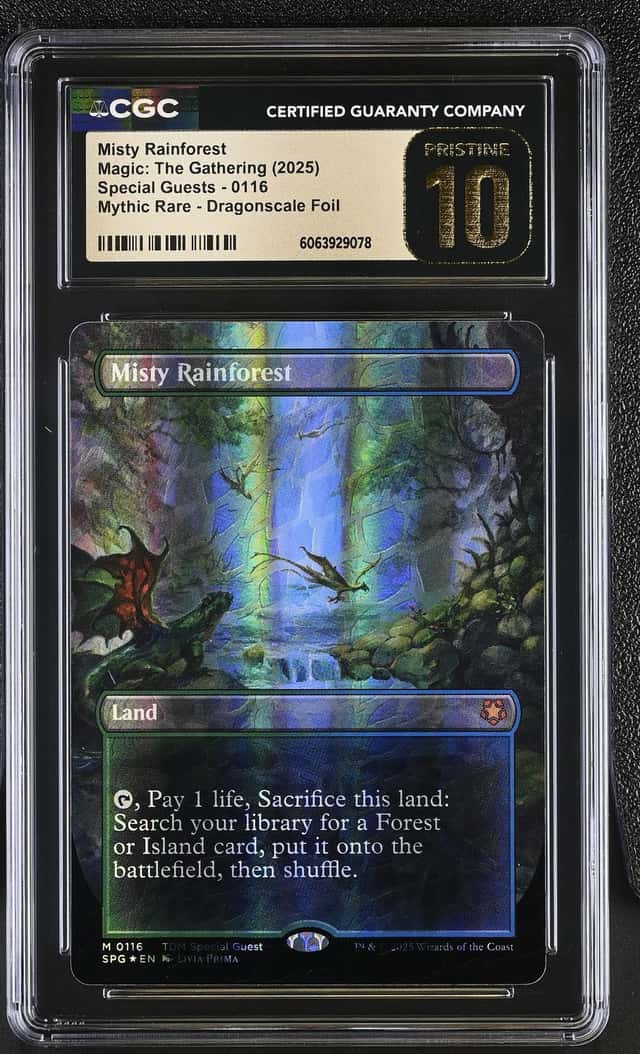 Misty Rainforest