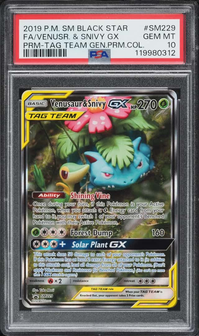 Venusaur & Snivy GX