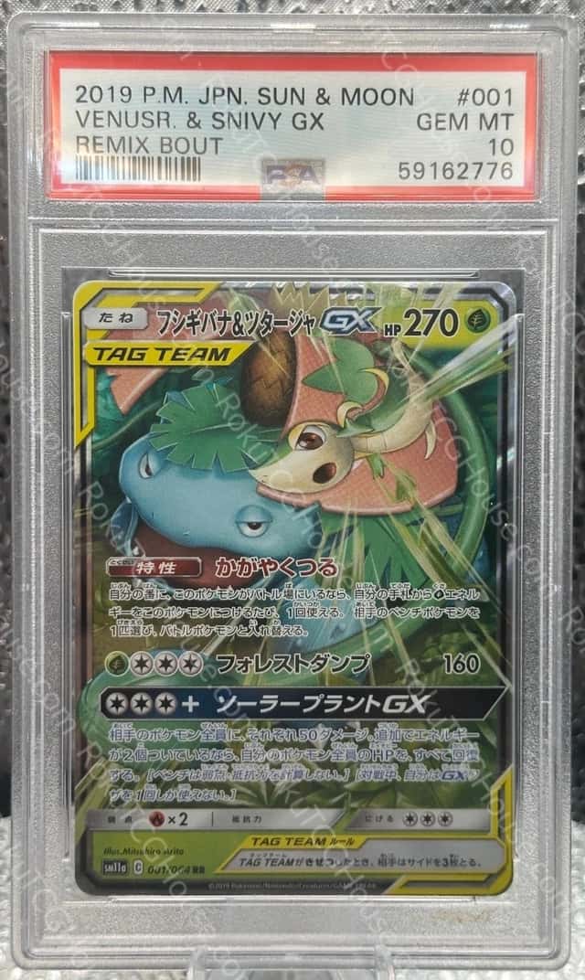 Venusaur & Snivy GX