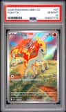 Ponyta