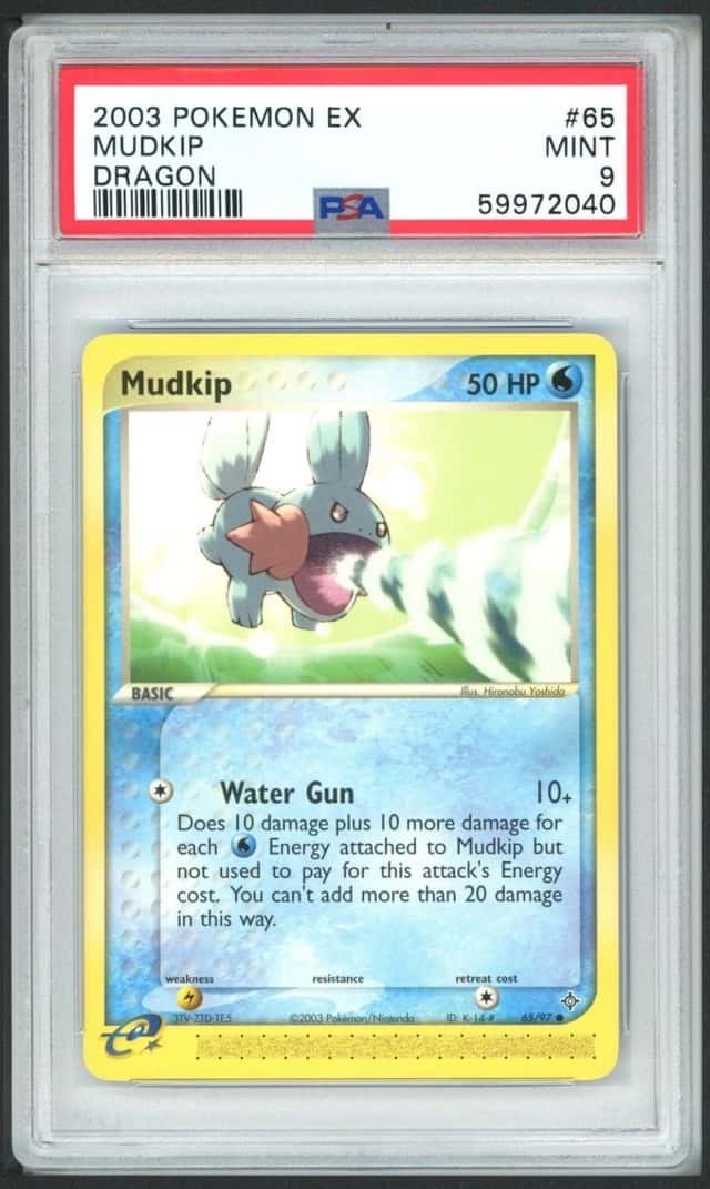 Mudkip