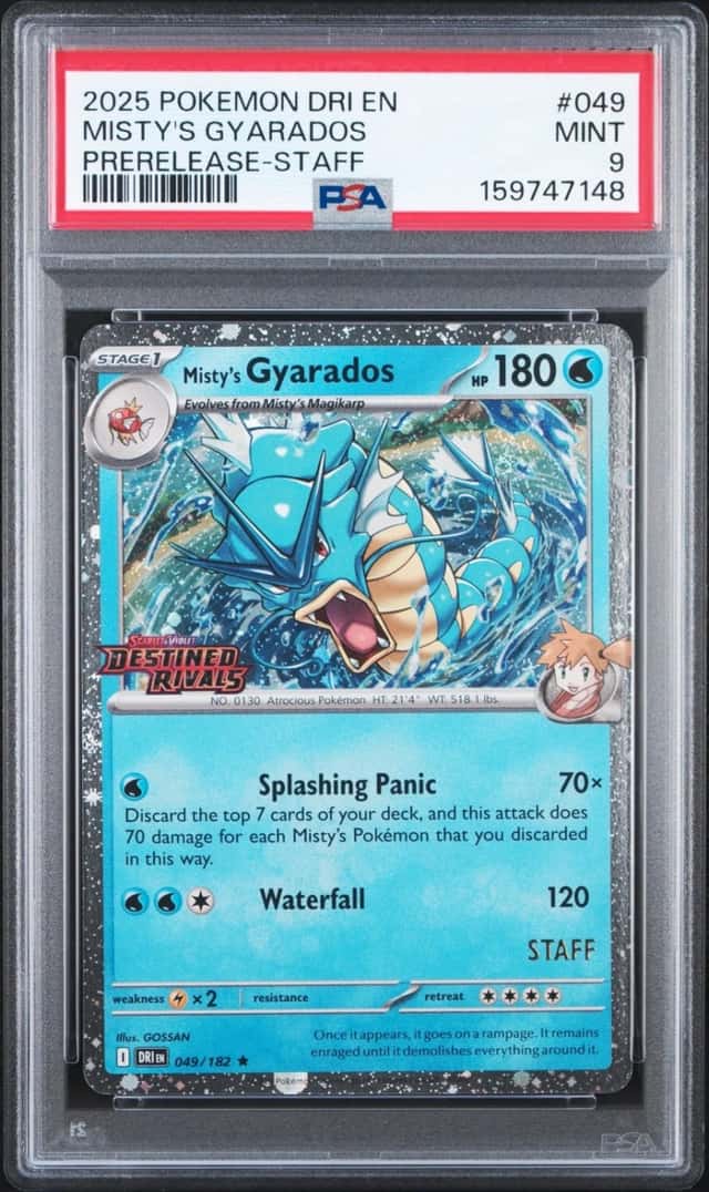 Misty's Gyarados