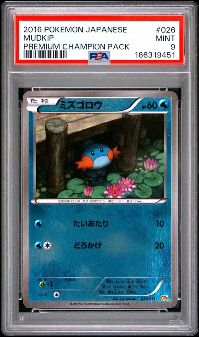 Mudkip