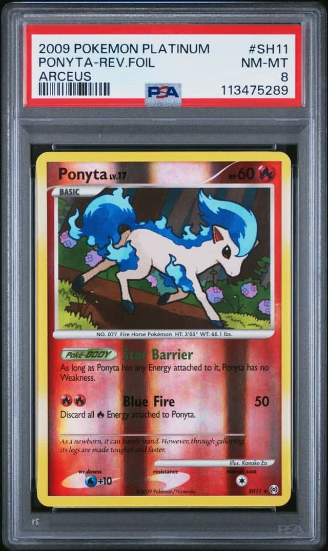 Ponyta