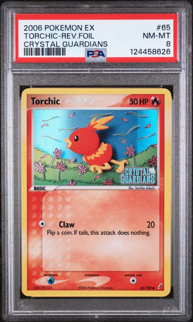 Torchic