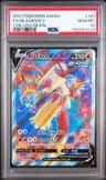 Blaziken V