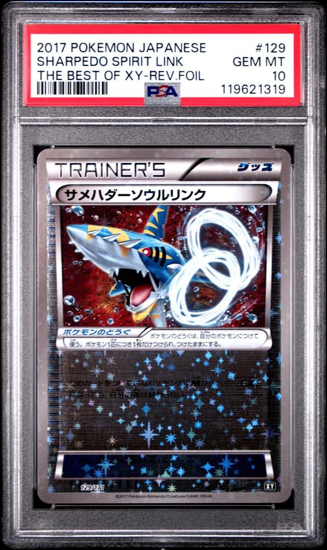 Sharpedo Spirit Link