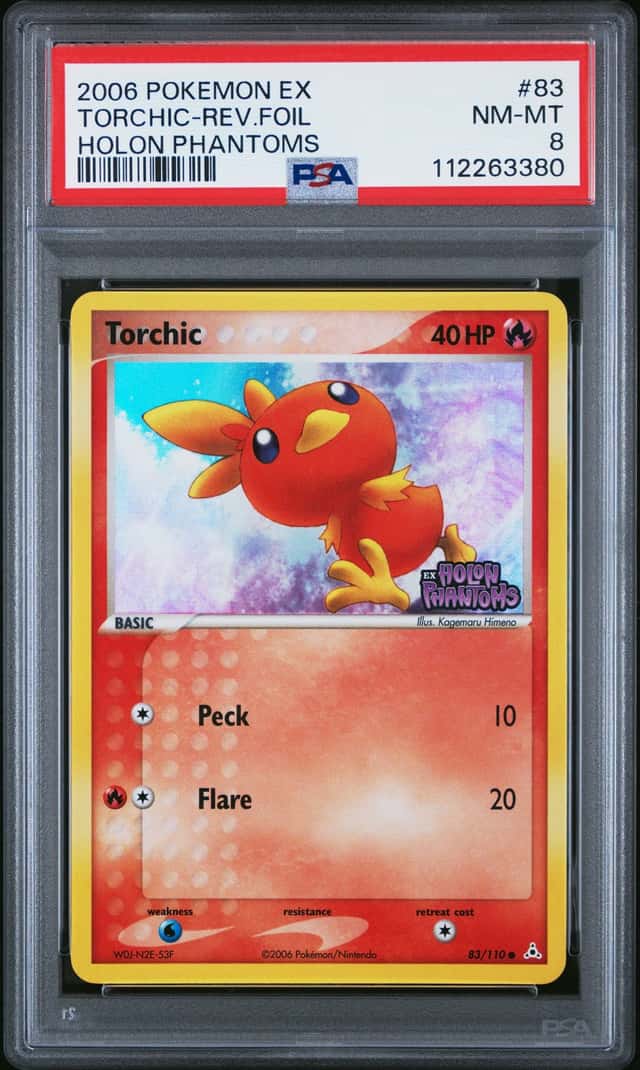 Torchic