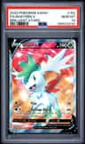 Shaymin V