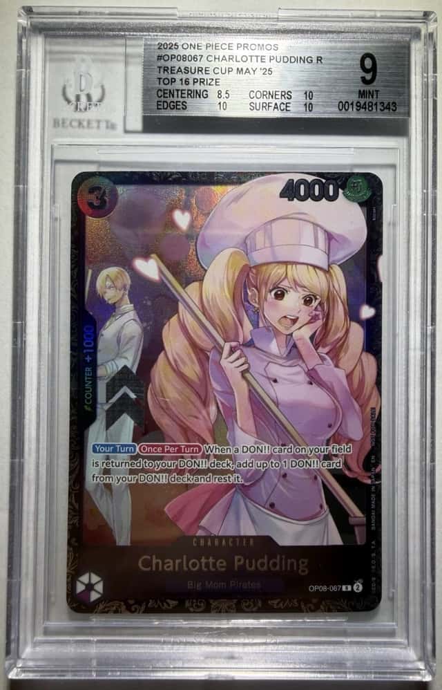 Charlotte Pudding