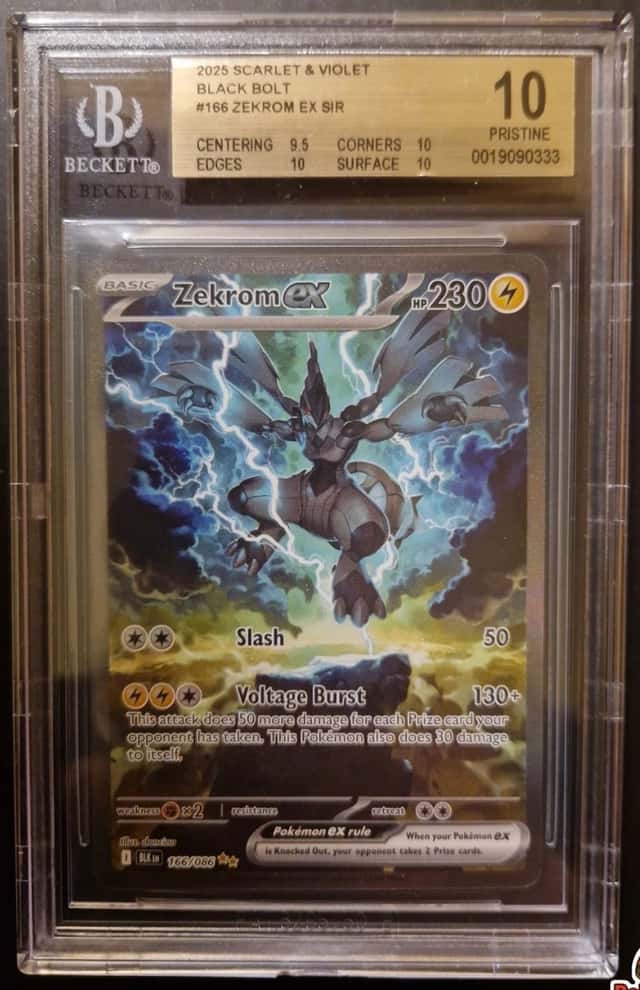 ZEKROM ex