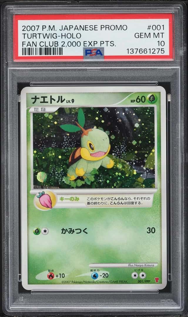 Turtwig