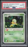 Turtwig