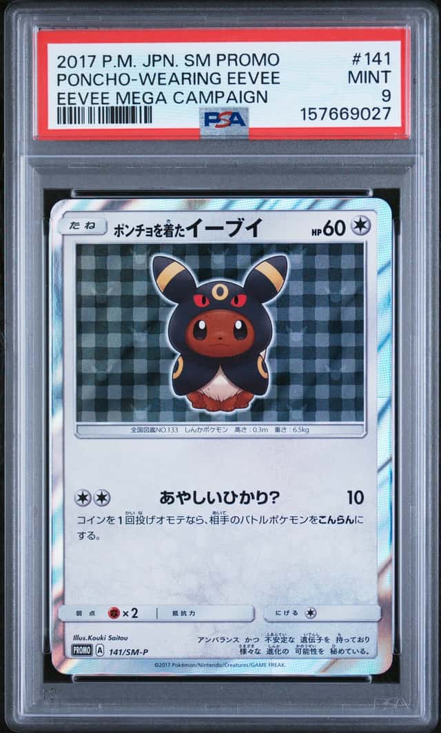 Poncho-Wearing Eevee