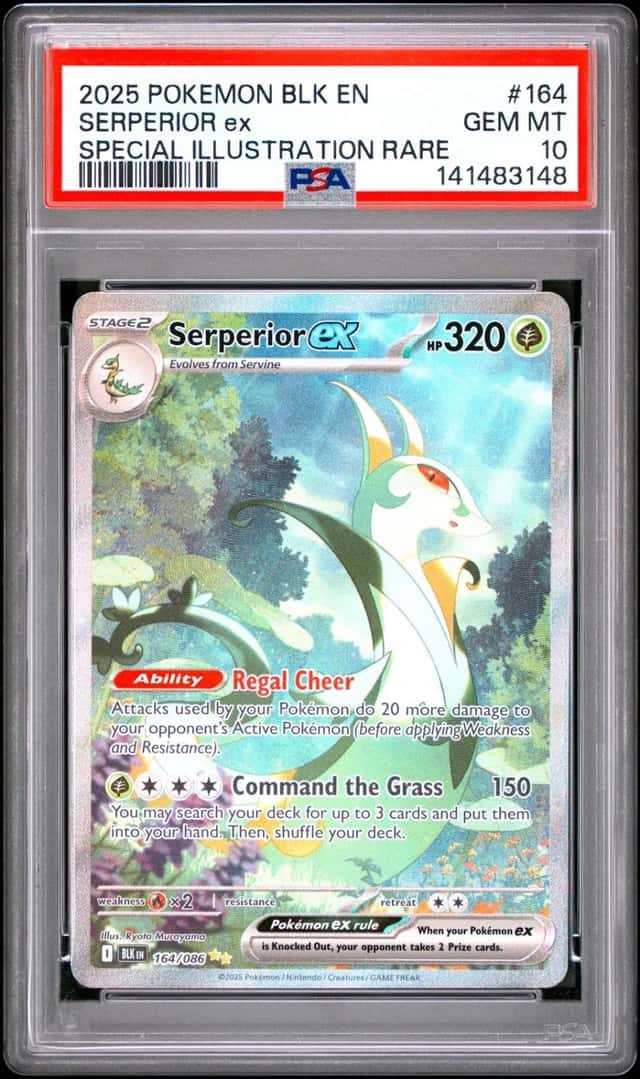 SERPERIOR ex