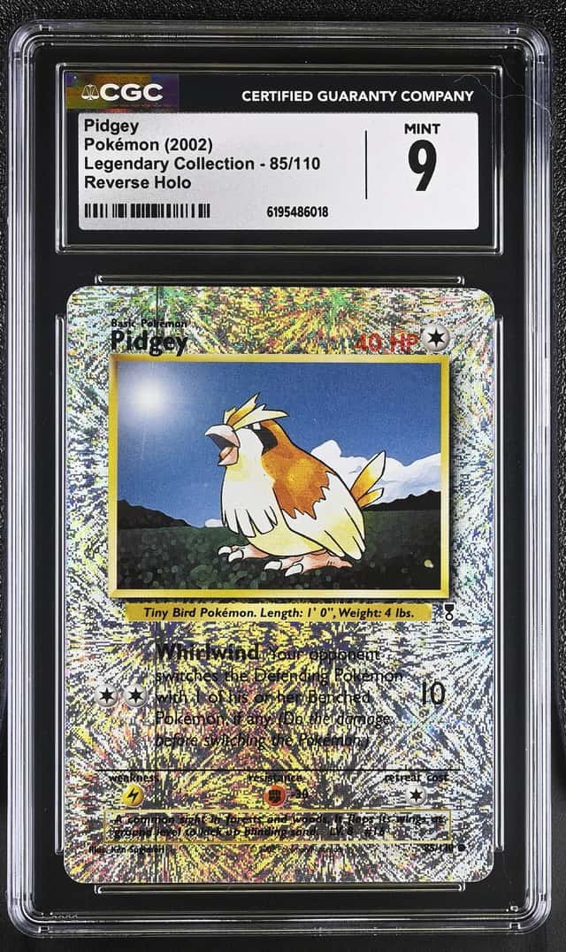 Pidgey