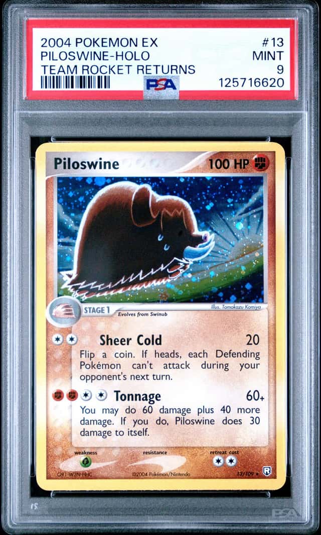 Piloswine