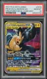 Pikachu & Zekrom Gx