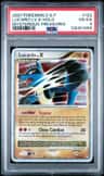 Lucario Lv X