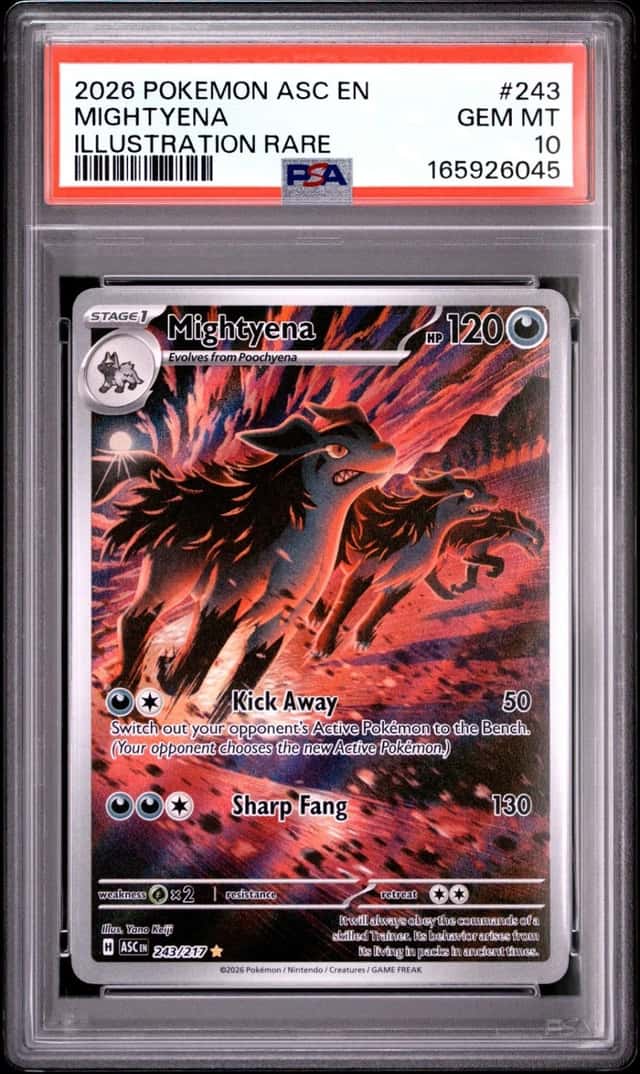2026 POKEMON ASC EN-ASCENDED HEROES ILLUSTRATION RARE #243 MIGHTYENA PSA 10