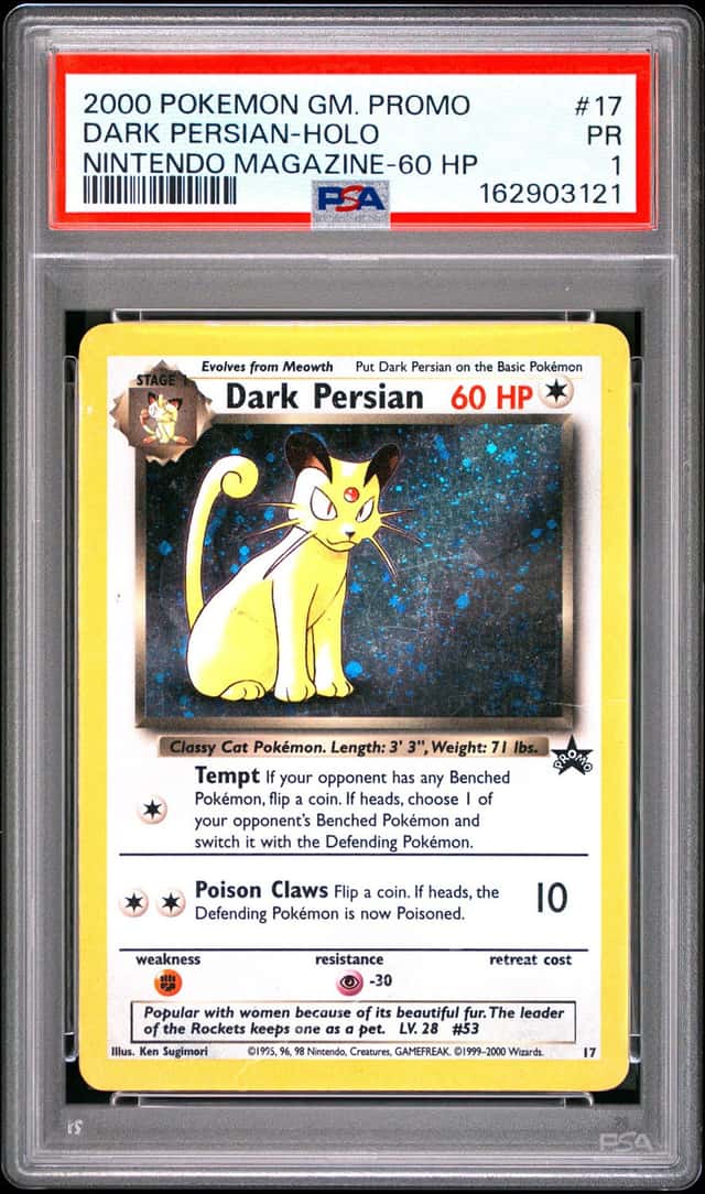 Dark Persian