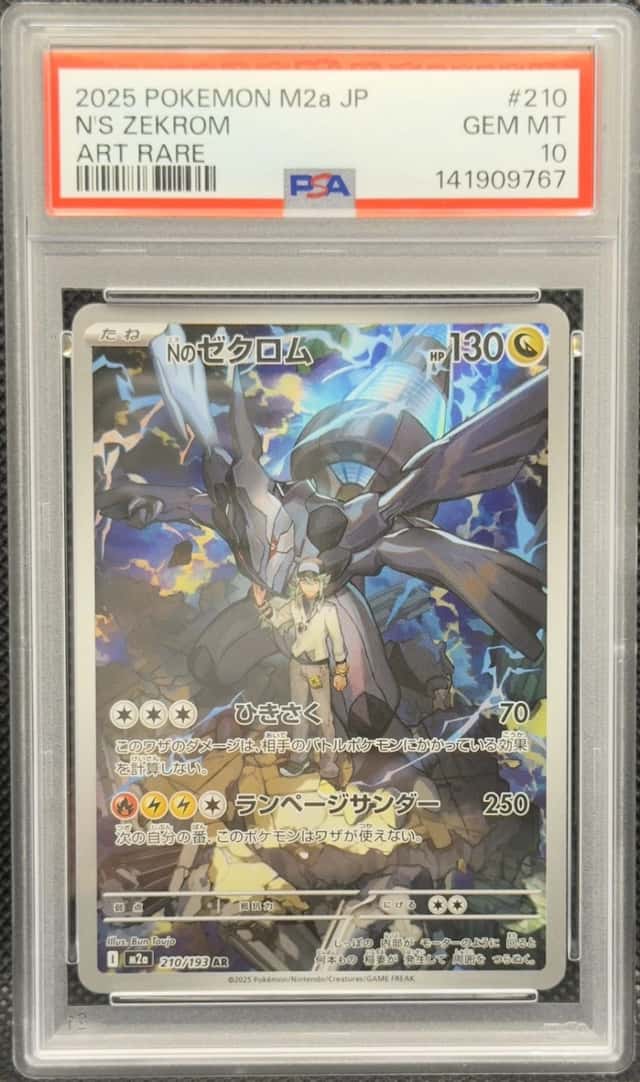 N's Zekrom