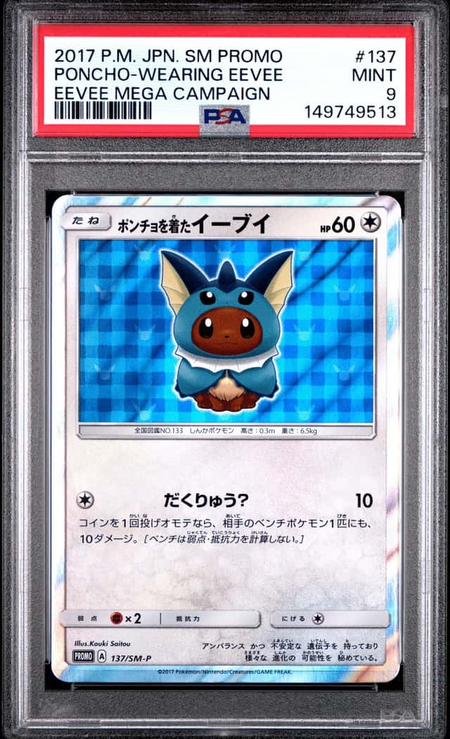 Poncho-wearing Eevee