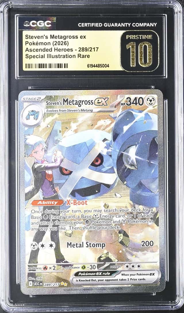 STEVEN'S METAGROSS ex