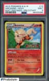 Arcanine