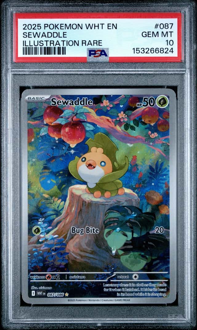 Sewaddle