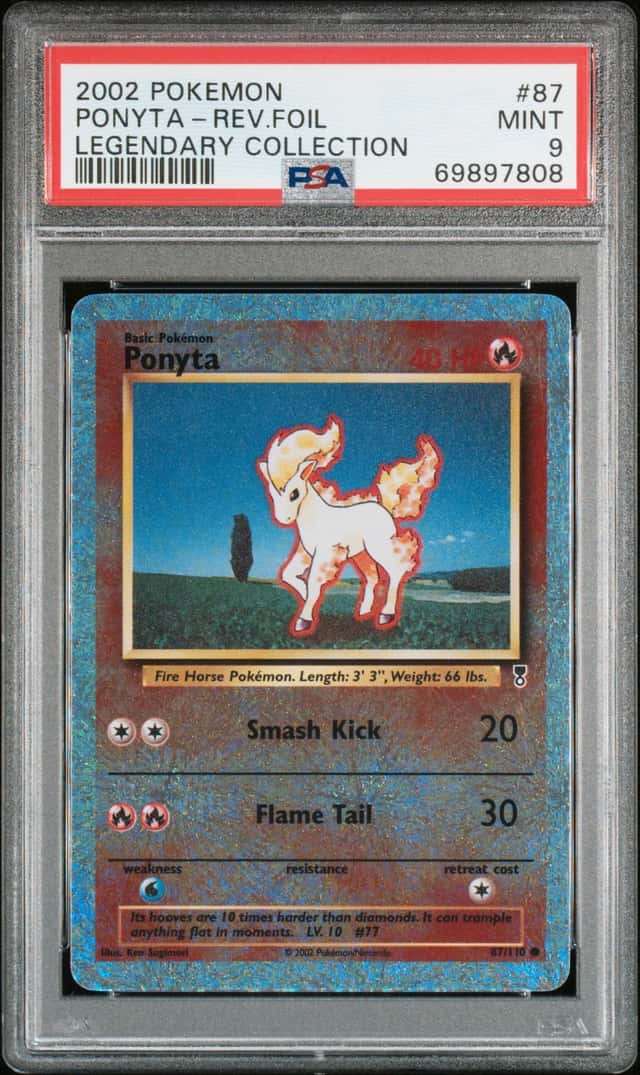 Ponyta