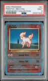 Ponyta