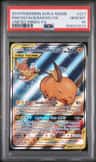Raichu & Alolan Raichu Gx