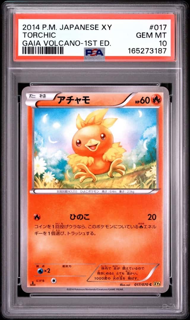 Torchic