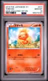 Torchic